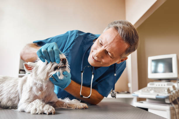 Best Weekend Emergency Dentist in Lexington, MS