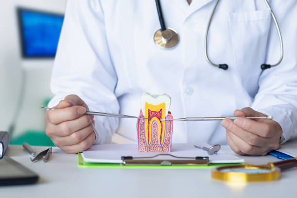 Best Emergency Dental Care for Trauma or Injury in Lexington, MS